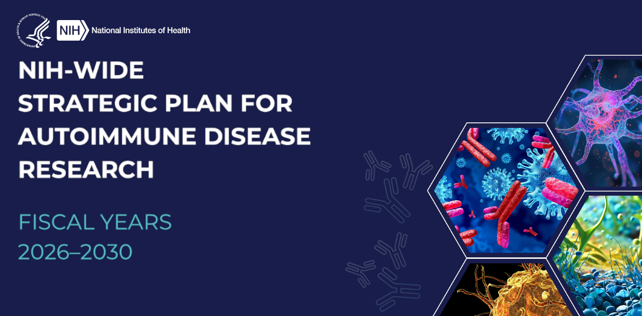 Banner image for the NIH-Wide Strategic Plan for Autoimmune Disease Research covering fiscal years 2026-2030, featuring graphic illustrations of immune cells and antibodies.