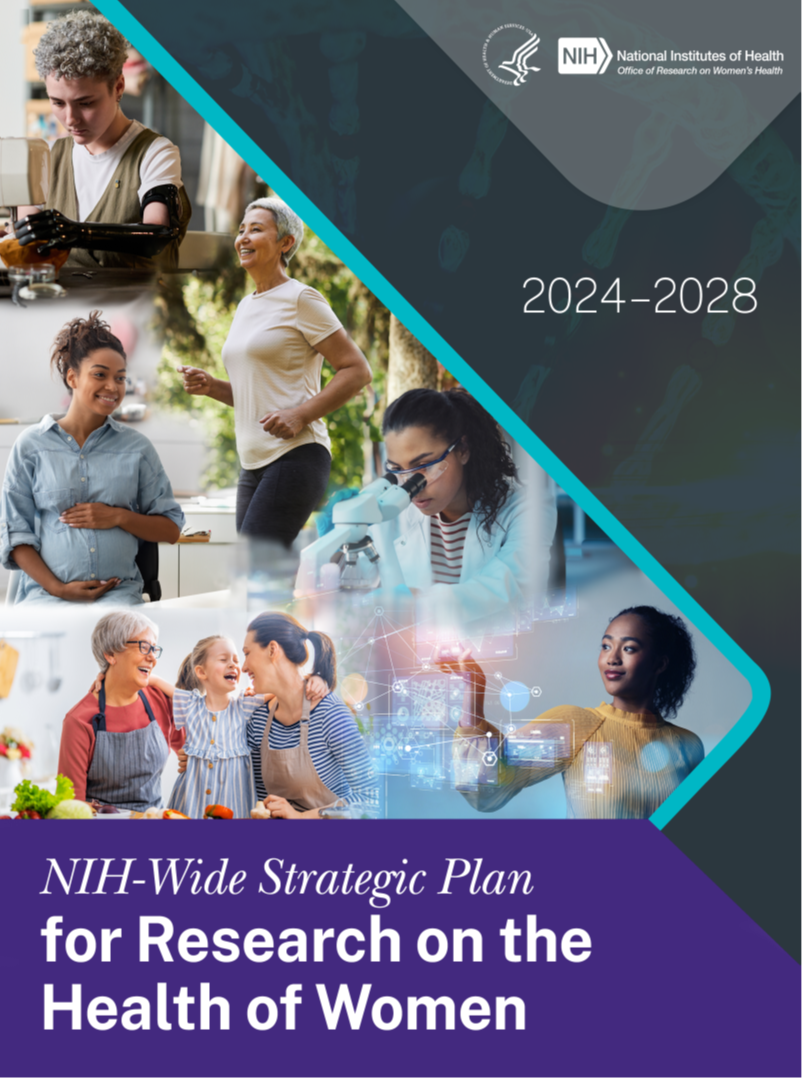 Front cover of 2024-2028 Strategic Plan