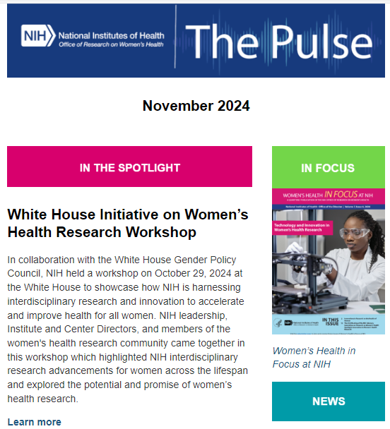 Graphic that shows The Pulse Newsletter for November 2024