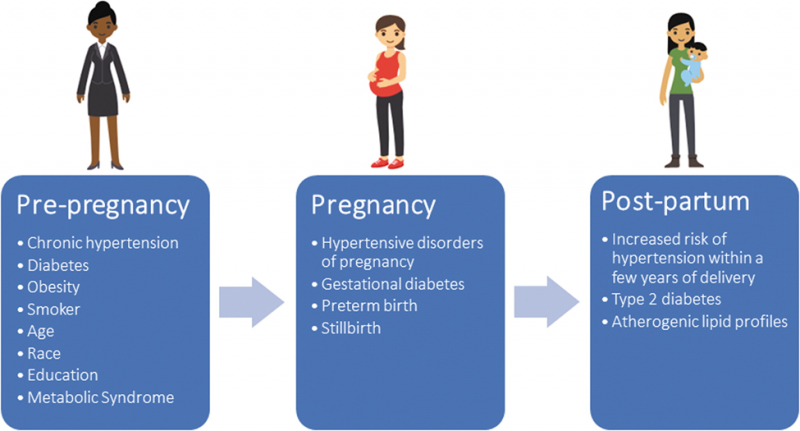 Image of with pre-pregnancy, pregnancy, and post-partum facts.