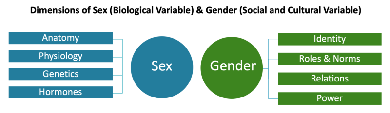 Sex & Gender  Office of Research on Women's Health