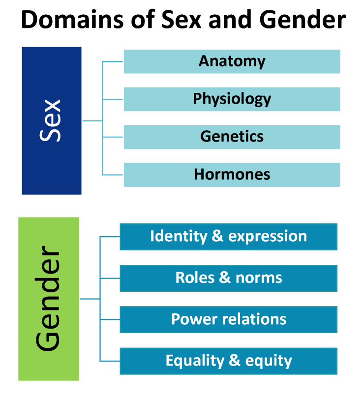 En2004 Iii Literatureand Gender Pdf
