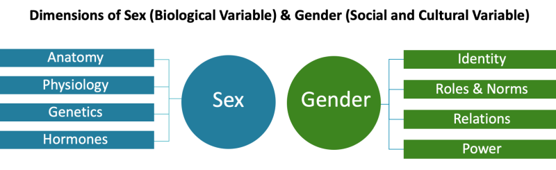 Dimensions of Sex (Biological Variable) & Gender (Social and Cultural Variable) Sex dimensions are anatomy, physiology, genetics, and hormones. Gender dimensions are identity, roles and norms, relations, and power.
