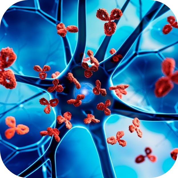 Image of autoimmune cells